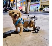 Sedia a rotelle regolabile per cani di piccola e media taglia, aiuto per la mobilità delle gambe posteriori con artrite e lesioni, supporto perfetto per cuccioli attivi (da XS a L)