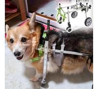 Sedia a rotelle regolabile per cani di piccola e media taglia Passeggino per animali domestici a 4 ruote. Aiuto leggero per la mobilità per cani e gatti feriti o disabili