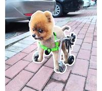 Sedia a rotelle regolabile per cani di piccola e media taglia XXS