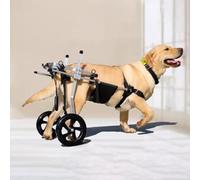 Sedia a rotelle regolabile per cani di taglia media/grande, aiuto per la mobilità a 2 ruote con comoda imbracatura, supporta le zampe posteriori, perfetta per cani anziani e passeggini per animali