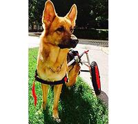 Sedia a rotelle regolabile per cani disabili, supporto per gambe posteriori, assistenza per passeggiate con cani a 2 ruote, rimorchio per bicicletta per esercizi, soluzione di mobilità per animali