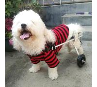Sedia a rotelle regolabile per cani disabili, supporto per gambe posteriori per assistenza alla mobilità e riabilitazione per animali domestici con disabilità alle gambe posteriori