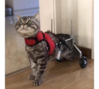 Sedia a rotelle regolabile per cani e gatti di piccola taglia, supporta la mobilità delle zampe posteriori, ideale per animali domestici anziani o feriti, con 2 ruote girevoli per un facile movimento