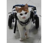 Sedia a rotelle regolabile per cani e gatti - Supporto per gambe posteriori e passeggini, misure S/M/L - ideale per animali disabili e recupero da paralisi