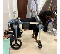 Sedia a rotelle regolabile per cani per debolezza degli arti anteriori e posteriori, 4 e 2 ruote, grande carrello per la riabilitazione del cane per un maggiore supporto e recupero della mobilità.