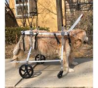 Sedia a rotelle regolabile per supporto della mobilità, leggera e resistente, aiuto per animali domestici con disabilità della gamba anteriore o posteriore, migliora la qualità della vita