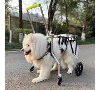 Sedia a rotelle regolabile per supporto della mobilità, leggera e resistente, aiuto per animali domestici con disabilità della gamba anteriore o posteriore, migliora la qualità della vita