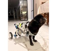 Sedia a rotelle regolabile per supporto per zampe posteriori, aiuto per la mobilità di cani, gatti, paralisi, lesioni da paralisi, carrello pieghevole per riabilitazione