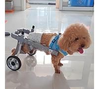 Sedia a rotelle Regolabile per Zampe Posteriori - Carrello per la Riabilitazione di Cani e Gatti feriti, ausilio per la Mobilità a 2 Ruote per Piccoli Animali - Migliora Il Recupero e la Mob