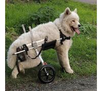 Sedia a rotelle regolabile per zampe posteriori, leggera e stabile, per cani disabili, supporto ottimale per camminare con la gamba posteriore