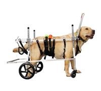 Sedia a rotelle XL per cani Lar 15-60 kg, leggera a 4 ruote, con supporto regolabile, perfetta per animali domestici con disabilità alle gambe, migliora li & t