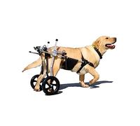 Sedia a rotelle XXL per cani di taglia grande, carrello di supporto posteriore regolabile, maggiore stabilità e comfort, aiuto per la mobilità per animali disabili, camminatore riabilitativo