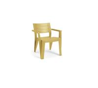 SEDIA CON BRACCIOLI GIALLO SENAPE PL JULIE CHAIR 61,5X58,5X79H
