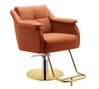 Sedia da barbiere idraulica classica, girevole a 360°, sedia professionale per parrucchieri, barbieri, spa, uso domestico, design moderno e confortevole