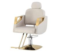 Sedia da Barbiere reclinabile per Parrucchiere Sedie da Barbiere girevoli a 360 Gradi Hair Stylist Tattoo Sedia da Salone Attrezzature per Lo Styling,Light Gray,Square Disk