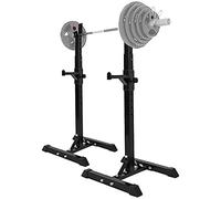 Sedia da Fitness Multifunzionale, Panca con manubri, Supporto per Squat Regolabile, Supporto per bilanciere Multifunzione Resistente, Allenamento di Forza, Panca Piana li
