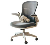 Sedia da scrivania per computer, ergonomica, con rete delicata sulla pelle e braccioli ribaltabili a 90°, per ragazze, studio, donne, adulti e ufficio