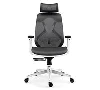 Sedia da sedia da ufficio ergonomico, sedia da ufficio sedia a reclinabile per computer con mesh con mesh traspirante per la presidenza delle attività della riunione degli uffici dello studio (+Gray)