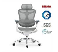 Sedia da Ufficio Ergonomica Sihoo Doro C300 Pro - Braccioli 5D, Supporto Lombare Auto-regolabile