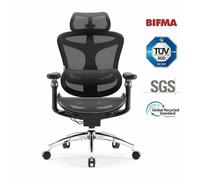 Sedia da Ufficio Ergonomica Sihoo Doro C300 Pro con Braccioli 6D e Supporto Lombare Dinamico
