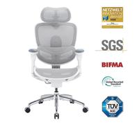 Sedia da Ufficio Ergonomica Sihoo Doro C300 Pro V2 con Supporto Adattivo