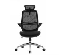 Sedia da ufficio ergonomica SIHOO M59AS - Braccioli regolabili 3D - Doppio schienale con supporto lombare - Rete di alta qualità - Certificata BIFMA/SGS - Nouvo