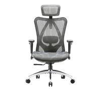 SIHOO con Morbido Supporto Lombare Sedia Ergonomica,Sedia Ergonomica in Traspirante Mesh,Sedie da Ufficio con Braccioli Regolabili 3D,Sedie Ufficio con Poggiatesta Regolabile(Grigio)
