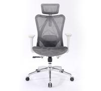 SIHOO M57 Sedia ergonomica da ufficio,design completamente traspirante,per computer,schienale alto,regolabile 3D,con braccioli e supporto lombare(Grigio Chiaro)