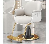 Sedia girevole regolabile del barbiere con la pompa idraulica resistente per la stazione termale di bellezza e il negozio di tatuaggi