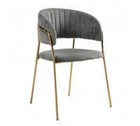 Sedia Imbottita Moderno Poltroncina, Grigio | Design a Braccioli Aperti, Sedia con Gambe in Met, Elegante, Poltrona da Attesa, per Soggiorno