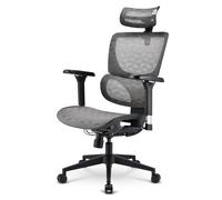 Sharkoon Sedia Office Fabric Seat Base 4D Armrest 5 Heights Adjustable Max Weight Capacity 150Kg