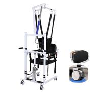 Sedia per il trasporto del paziente in posizione seduta o in piedi, sedia elevatrice portatile per anziani, dispositivo di trasferimento multifunzionale con ruote silenziose