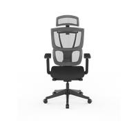 Sedia per Ufficio Ergonomica C7 con Supporto Lombare Adattabile