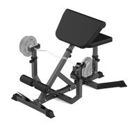 Sedia romana 2 in 1 e panca da preacher wave - Panca per iperestensione regolabile resistente - Multifunzione per allenamento della forza per schiena, braccia, addominali, glutei e gambe