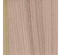 SEDIA SEDIE THONET BAR CASA RISTORANTE PIZZERIA VIENNA BISTROT COLORI VARI