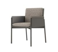 Sedie Sala da Pranzo Imbottite Moderne, Sedie Soggiorno Comode e Semplici con Braccioli, Cuscino Rimovibile per Sala da Pranzo, Ufficio, Area di Riposo(Gray)