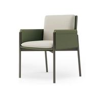 Sedie Sala da Pranzo Imbottite Moderne, Sedie Soggiorno Comode e Semplici con Braccioli, Cuscino Rimovibile per Sala da Pranzo, Ufficio, Area di Riposo(Green)