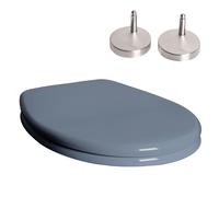 Sedile WC con coperchio Softclose cerniere in acciaio inox grigio chiaro copr...