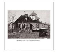 See Through Dresses - End Of Days Ep