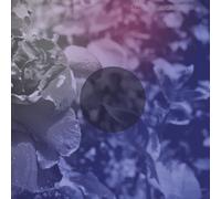 See Through Dresses See Through Dresses (Vinyl LP) 12" Album