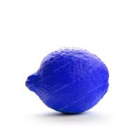 SEED Fresh 20 Pcs Lemon Tree for blue planting : Package Contains seeds
