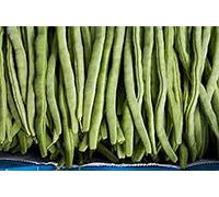 Seed Pack: B Mix Garden Seed Collection, Organic Seeds, 5 Top Varieties : Package Contains seeds