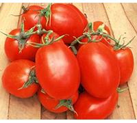 Seed Packet: 50 Seeds of Roma VF - Pasta Tomatoes : Package Contains seeds