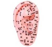 Seeding auricolare, kit di agopuntura dei semi dell'orecchio, modello elastico in PVC con incisione acupoint chiara, intuitiva e precisa per l'agopuntura, ospedale, scuola