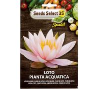 Seeds Select 3S Pro Semi di Loto, Pianta Acquatica, Fiore di Loto Rosa