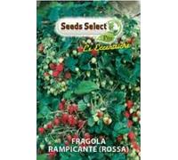 Seeds Select Fragola Rampicante Rossa, Semi di Fragole Rampicanti