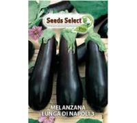 Seeds Select Melanzana Lunga di Napoli, Semi da Orto, Bustina di Sementi