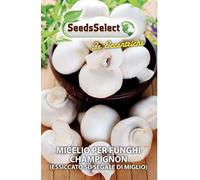 SEEDS SELECT PRO MICELIO PER FUNGHI CHAMPIGNON BUSTINA GR 25 TERROSO POTPOURRI_SACHET SACHET SACHETTO PROFUMATO