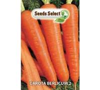 SEEDS SELECT PRO Semi di Carota Berlicum, 500g, Germinazione 14 Giorni, Altezza 40 cm, Per Esterno