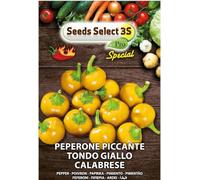 SEEDS SELECT PRO Semi di Peperone Piccante Calabrese Tondo Giallo, Germinazione 14 Giorni, Altezza Pianta 40 cm